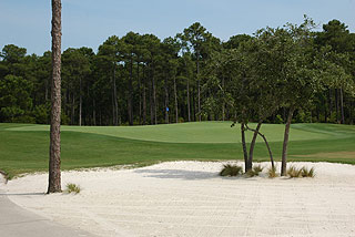 Tigers Eye Golf Links - Myrtle Beach Golf Course