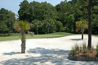 Possom Trot Golf Club - Myrtle Beach Golf