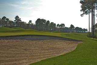 WILD WING PLANTATION Avocet Course - Myrtle Beach Golf Course