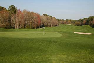 WILD WING PLANTATION Avocet Course - Myrtle Beach Golf Course